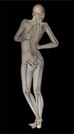 esqueleto - Illustration of a woman's body with skeleton Photographie de stock - Premium Libres de Droits, Code: 649-08565445