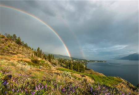 Summer storm and double rainbow over Ponderosa Pine trees, Okanagan Lake and the South Okanagan Valley Naramata, British Columbia, Canada Stock Photo - Premium Royalty-Free, Code: 649-08565698