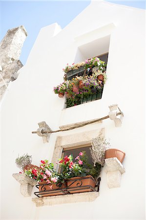 Flowers in window boxes on white building, Puglia, Italy Stock Photo - Premium Royalty-Free, Code: 649-08565959