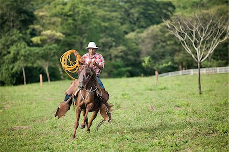 Man with lasso riding horse in field Stock Photo - Premium Royalty-Free, Code: 649-08560944