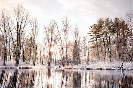 snowy landscapes in canada - Snowy trees lining still lake Stock Photo - Premium Royalty-Free, Code: 649-08561154