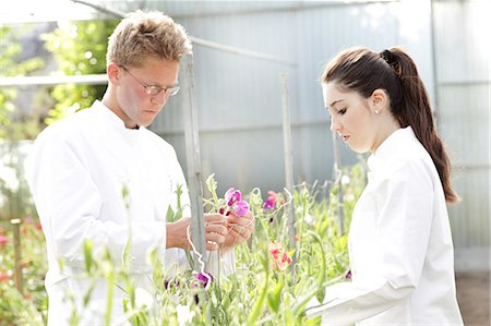 scientists standing together - Scientists examining plants together Photographie de stock - Premium Libres de Droits, Code: 649-08561239