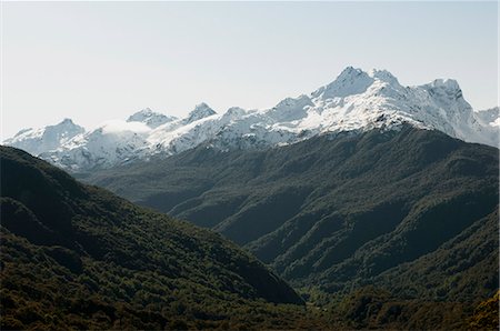 southland - Forests on snowy mountains Photographie de stock - Premium Libres de Droits, Code: 649-08561591