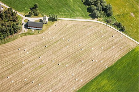 simsearch:649-06401191,k - Aerial view of rural farmland Foto de stock - Royalty Free Premium, Número: 649-08561629