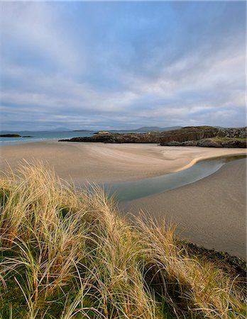 simsearch:649-08632337,k - Tall grass growing on beach Stock Photo - Premium Royalty-Free, Code: 649-08561678