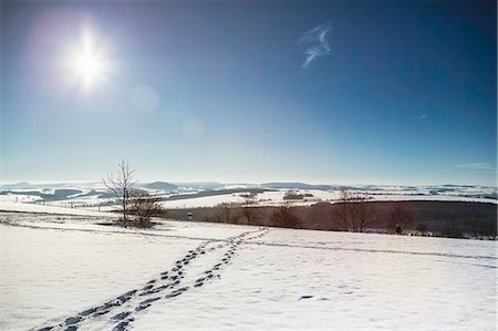 simsearch:649-08085719,k - Footprints in snowy landscape Photographie de stock - Premium Libres de Droits, Code: 649-08561766