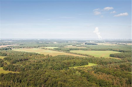 elevated - Aerial view of forest, Welzow, Brandenburg, Germany Stock Photo - Premium Royalty-Free, Code: 649-08562097