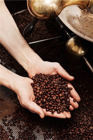 simsearch:649-06844313,k - Hands holding coffee beans Photographie de stock - Premium Libres de Droits, Code: 649-08562139