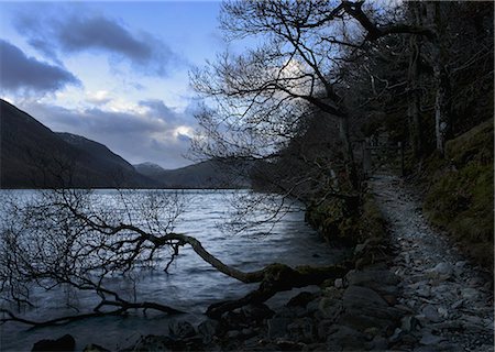 Buttermere lake with trees, Lake District, Cumbria, England, UK Foto de stock - Sin royalties Premium, Código: 649-08562357