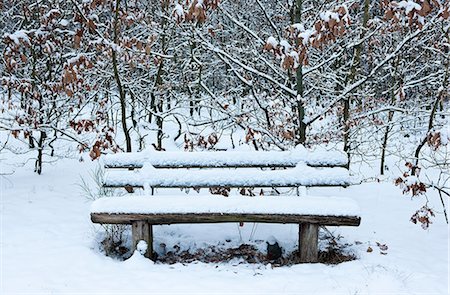 simsearch:6122-07696907,k - Bench covered in snow Stock Photo - Premium Royalty-Free, Code: 649-08563161