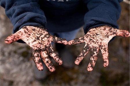 simsearch:649-07596306,k - Boy with soil covered hands Photographie de stock - Premium Libres de Droits, Code: 649-08563306