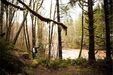 Couple hiking in forest Stock Photo - Premium Royalty-Free, Code: 649-08563324