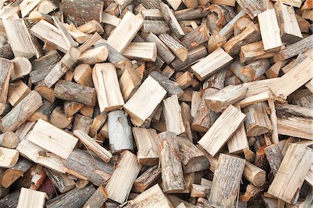 fire wood in canada - Pile of chopped wood Stock Photo - Premium Royalty-Free, Code: 649-08563444