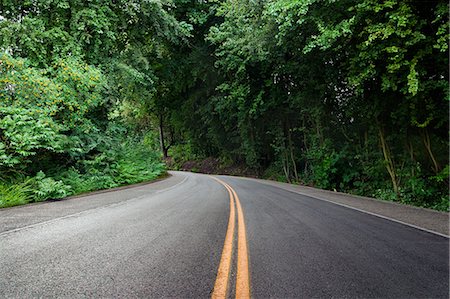 Curving road in forest Foto de stock - Sin royalties Premium, Código: 649-08563841