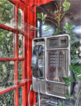 red call box - Disused telephone booth with ivy growing inside Stock Photo - Premium Royalty-Free, Code: 649-08563910