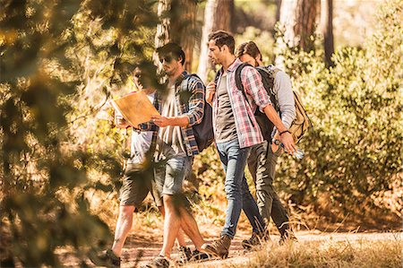 simsearch:649-08576582,k - Four male hikers reading map whilst hiking in forest, Deer Park, Cape Town, South Africa Stock Photo - Premium Royalty-Free, Code: 649-08576305