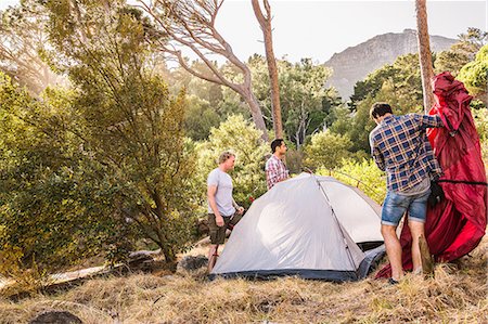 Three men putting up dome tent in forest, Deer Park, Cape Town, South Africa Stock Photo - Premium Royalty-Free, Code: 649-08576566