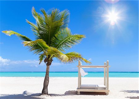 Beach daybed next to palm tree on beach, Dominican Republic, The Caribbean Stock Photo - Premium Royalty-Free, Code: 649-08577290