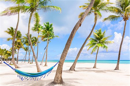 Hammock between palm tree's on beach, Dominican Republic, The Caribbean Foto de stock - Sin royalties Premium, Código: 649-08577292