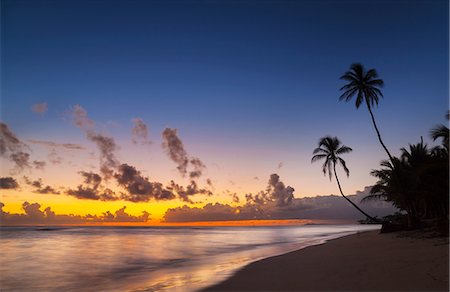 Silhouetted sunset with palm tree's on beach, Dominican Republic, The Caribbean Foto de stock - Sin royalties Premium, Código: 649-08577310