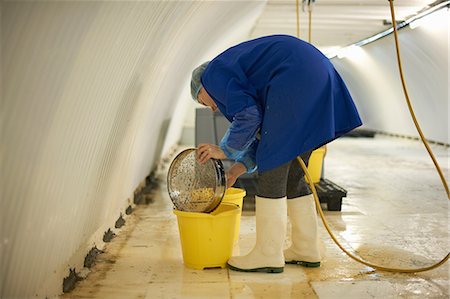 sottoterra - Female worker cleaning equipment in underground tunnel nursery, London, UK Fotografie stock - Premium Royalty-Free, Codice: 649-08577425
