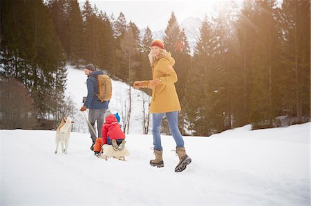 dog sledding women pictures - Rear view of parents pulling sons on toboggan in snow  covered landscape, Elmau, Bavaria, Germany Foto de stock - Sin royalties Premium, Código: 649-08577728