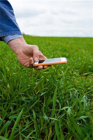 simsearch:649-07437978,k - Hand of farmer photographing field crop on smartphone Stock Photo - Premium Royalty-Free, Code: 649-08577791