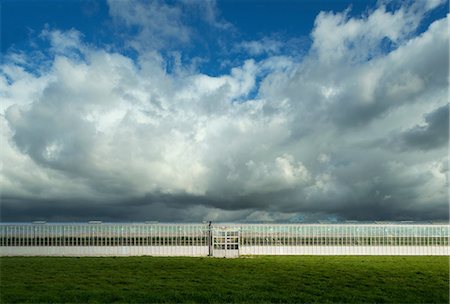 Clouds above commercial greenhouse, 'S Gravenpolder, Zeeland, Netherlands Photographie de stock - Premium Libres de Droits, Code: 649-08578127