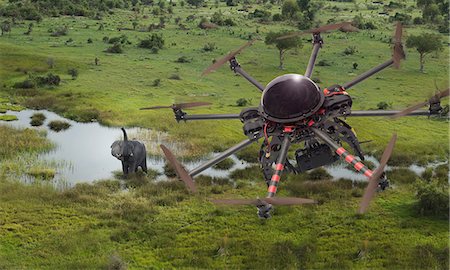 High angle view of drone flying over elephant, Okavango Delta, Botswana Stock Photo - Premium Royalty-Free, Code: 649-08578185