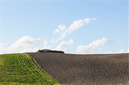 simsearch:649-07648670,k - Rural landscape, Santa Luce, Tuscany, Italy Foto de stock - Sin royalties Premium, Código: 649-08632552