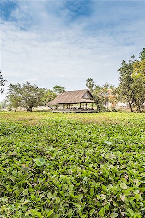 Village hall, Banteay Srei Dom Dek Temple, in Dom Dek Village, near Siem Reap, Cambodia Stockbilder - Premium RF Lizenzfrei, Bildnummer: 649-08632794
