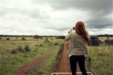 road trip technology - Woman taking photograph of zebras from top of vehicle in wildlife park, Nairobi, Kenya Stock Photo - Premium Royalty-Free, Code: 649-08660893