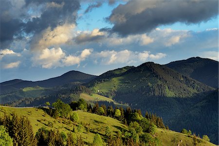 Dzembronya Village, Carpathian Mountains, Ivano-Frankovsk Region, Ukraine Foto de stock - Royalty Free Premium, Número: 649-08661349