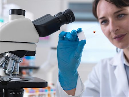 Scientist viewing human blood sample on glass slide in laboratory Stockbilder - Premium RF Lizenzfrei, Bildnummer: 649-08702125