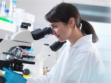 Scientist viewing human tissue sample on microscope in laboratory Photographie de stock - Premium Libres de Droits, Code: 649-08702123