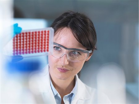 Scientist preparing blood samples for clinical testing in laboratory Stock Photo - Premium Royalty-Free, Code: 649-08702130