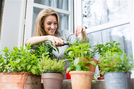 Woman clipping herb plants on windowsill Foto de stock - Sin royalties Premium, Código: 649-08703137