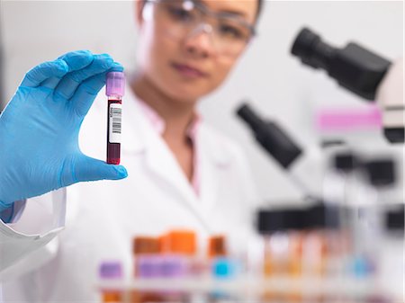 simsearch:649-08565304,k - Scientist preparing clinical samples for medical testing in a laboratory Photographie de stock - Premium Libres de Droits, Code: 649-08703235