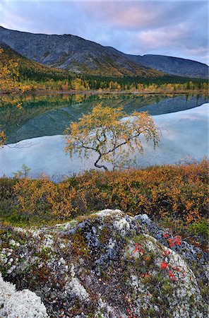 simsearch:649-08714235,k - Autumn coloured landscape at Polygonal Lakes, Khibiny mountains, Kola Peninsula, Russia Foto de stock - Sin royalties Premium, Código: 649-08703455