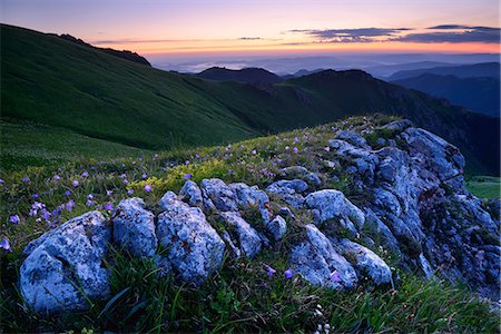 Landscape with rocks and wildflowers at dusk, Bolshoy Thach (Big Thach) Nature Park, Caucasian Mountains, Republic of Adygea, Russia Stock Photo - Premium Royalty-Free, Code: 649-08714258