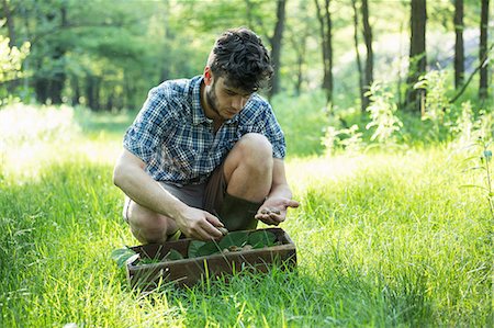 schneckenhaus - Man crouching to forage wild herbs in forest, Vogogna, Verbania, Piemonte, Italy Stockbilder - Premium RF Lizenzfrei, Bildnummer: 649-08714337