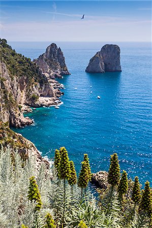 Cliffs and rocks in sea, Capri, Amalfi Coast, Italy Foto de stock - Sin royalties Premium, Código: 649-08714519