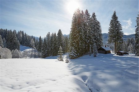 simsearch:6122-07704263,k - Fir trees and log cabin on snow covered landscape, Elmau, Bavaria, Germany Stock Photo - Premium Royalty-Free, Code: 649-08714524