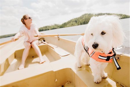 Coton de tulear dog with woman rowing in boat, Orivesi, Finland Stock Photo - Premium Royalty-Free, Code: 649-08714969