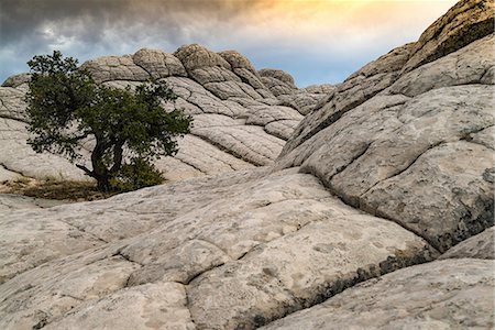 White Pocket, Paria Plateau, Arizona, USA Photographie de stock - Premium Libres de Droits, Code: 649-08744974