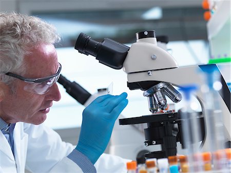 rubber glove - Scientist preparing a sample slide containing a human specimen to view under a microscope in laboratory for medical testing Photographie de stock - Premium Libres de Droits, Code: 649-08745670