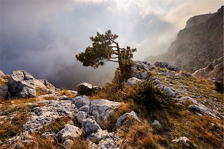 simsearch:649-08085932,k - View of storm clouds from Ai-Petri Mountain, Crimea, Ukraine Foto de stock - Sin royalties Premium, Código: 649-08766272