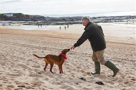 simsearch:649-07437708,k - Man and dog on beach, Constantine Bay, Cornwall, UK Photographie de stock - Premium Libres de Droits, Code: 649-08766305