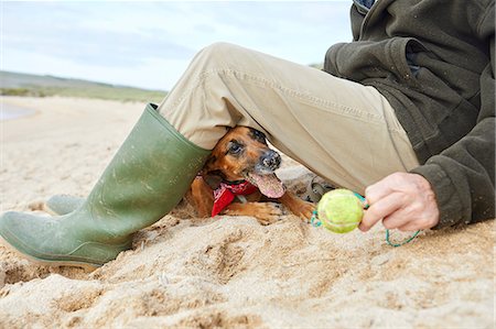 Man and pet dog sitting on beach, Constantine Bay, Cornwall, UK Stock Photo - Premium Royalty-Free, Code: 649-08766302