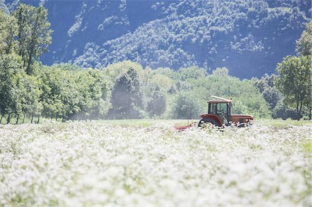 simsearch:649-08765893,k - Tractor driving in crop field Photographie de stock - Premium Libres de Droits, Code: 649-08824476